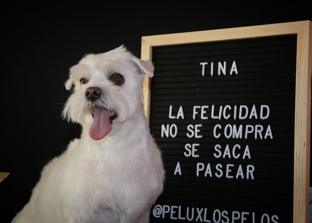 Tina (Mayo 2020)